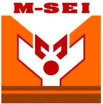 M-SEI